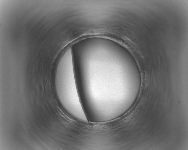 X0000062141449200512091004