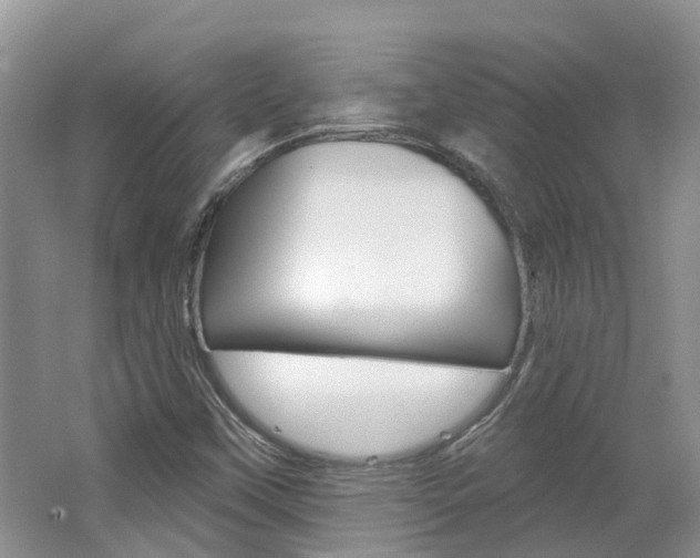 X0000062141451200512091004