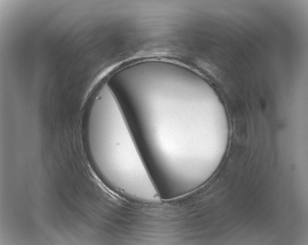 X0000062141452200512091004