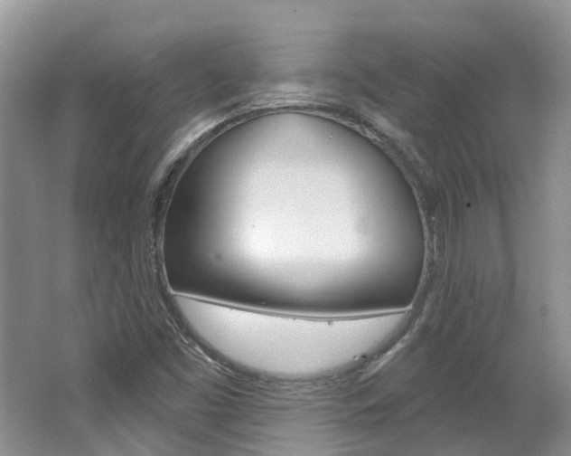 X0000062141453200512091004