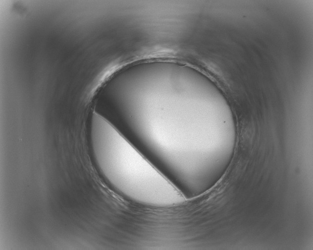 X0000062141455200512091004