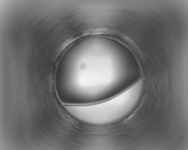X0000062141457200512091004