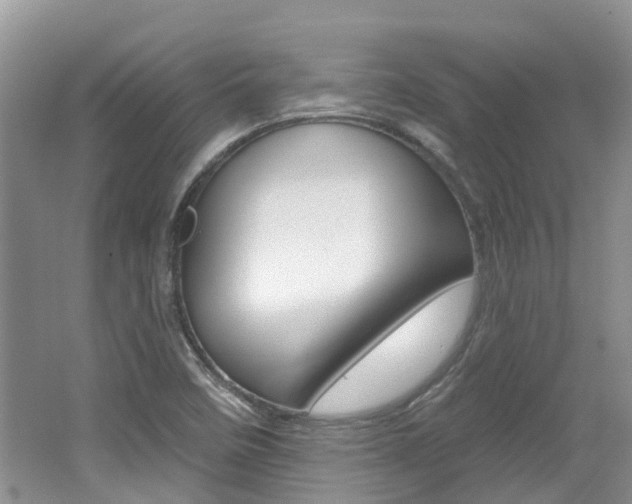X0000062141458200512091004