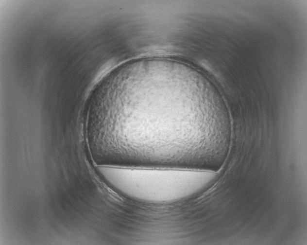 X0000062141459200512091004