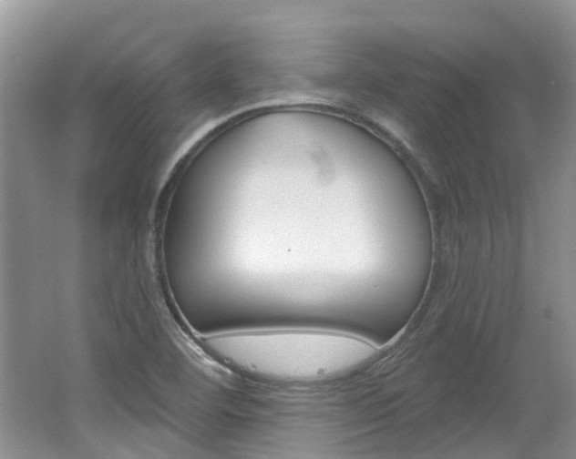 X0000062141460200512091004