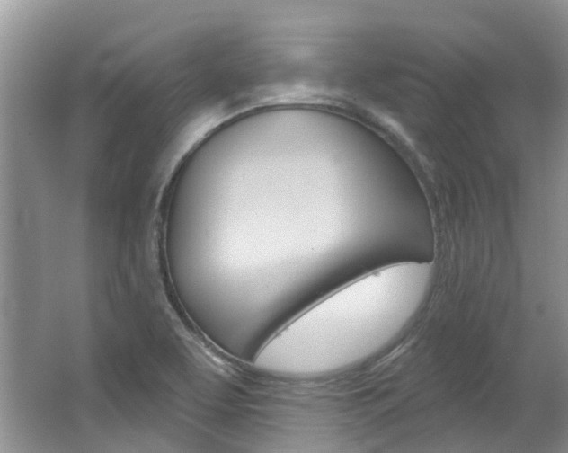 X0000062141463200512091004