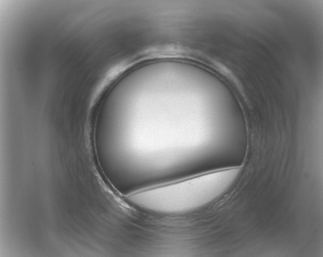 X0000062141464200512091004