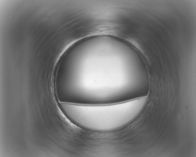 X0000062141468200512091004