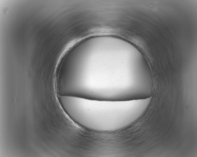 X0000062141472200512091004