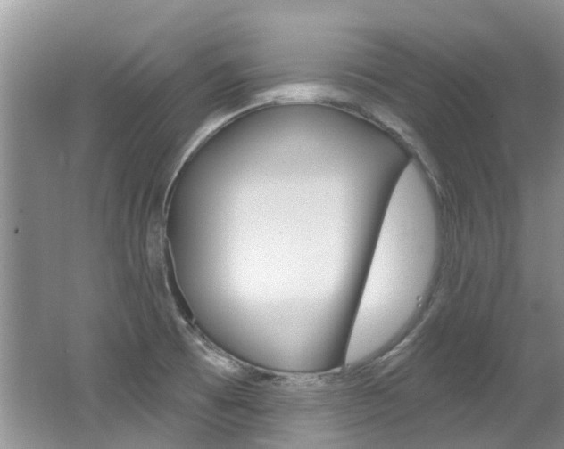 X0000062141473200512091004