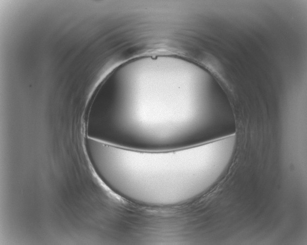 X0000062141476200512091004