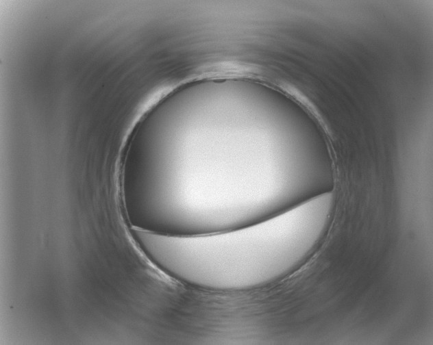 X0000062141477200512091004