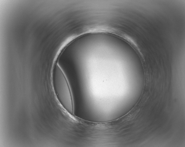 X0000062141480200512091004