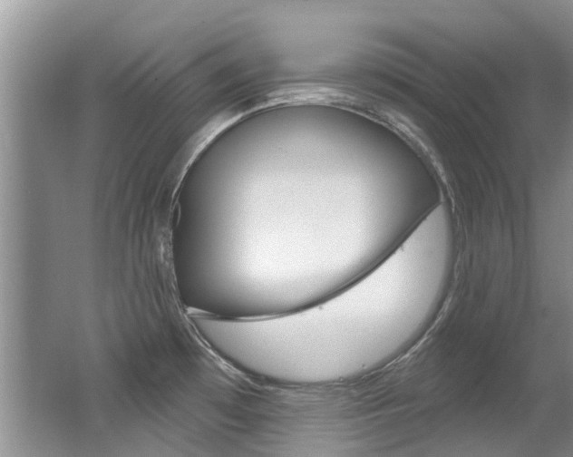X0000062141481200512091004