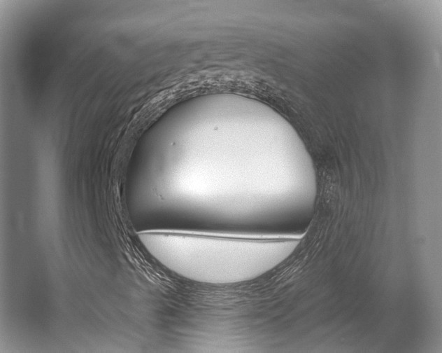 X0000062141489200512091003