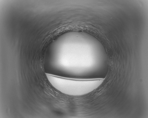 X0000062141490200512091003