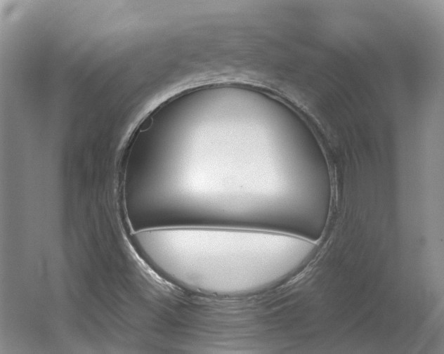 X0000062141500200512091003