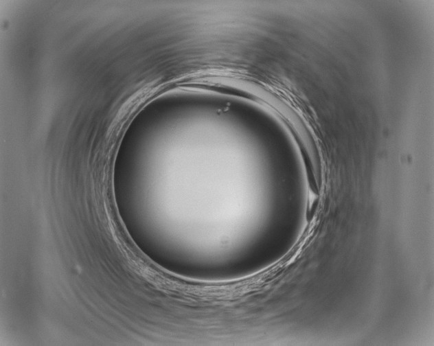 X0000062140001200512091227