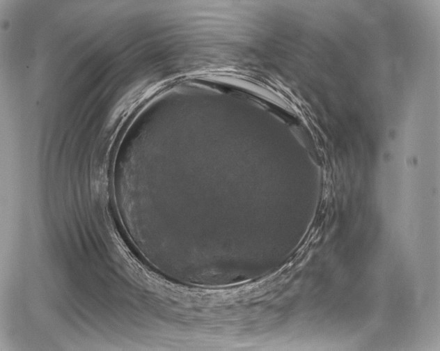 X0000062140002200512091227