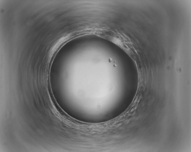 X0000062140003200512091227