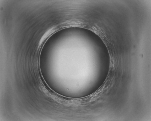 X0000062140004200512091227