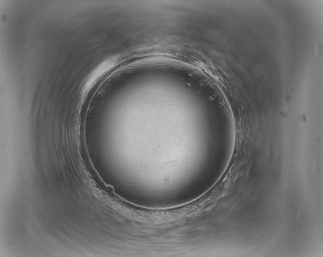 X0000062140006200512091227