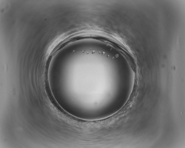 X0000062140007200512091227