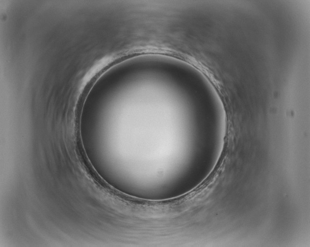 X0000062140008200512091227