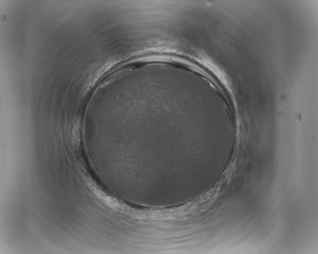 X0000062140009200512091227