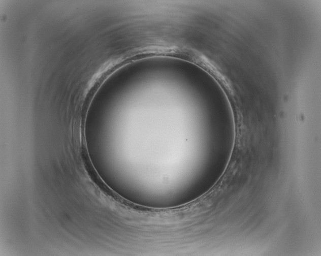 X0000062140011200512091227