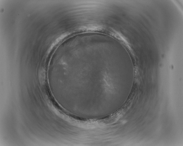 X0000062140012200512091227