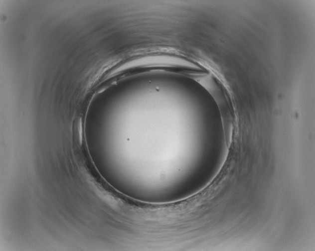 X0000062140013200512091227