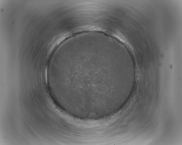 X0000062140014200512091227