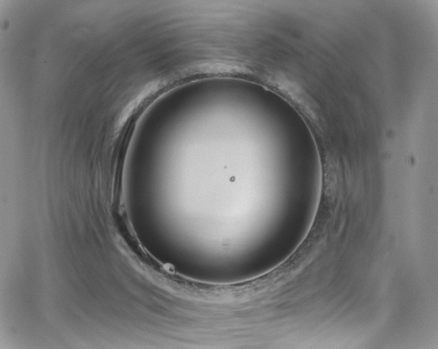 X0000062140015200512091227