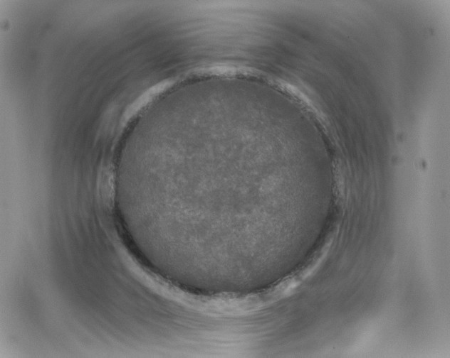 X0000062140016200512091227