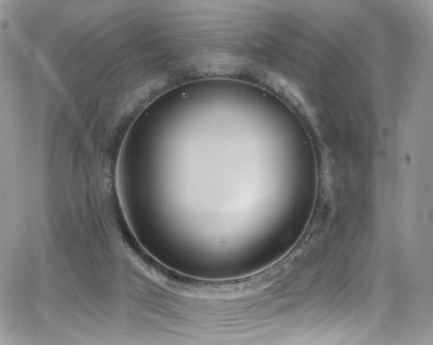 X0000062140017200512091227