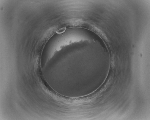 X0000062140018200512091227