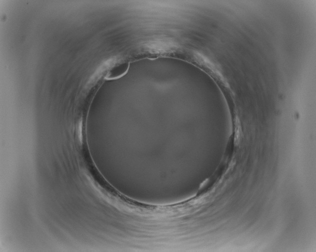 X0000062140019200512091226