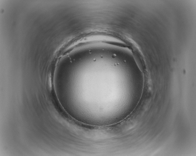 X0000062140020200512091226