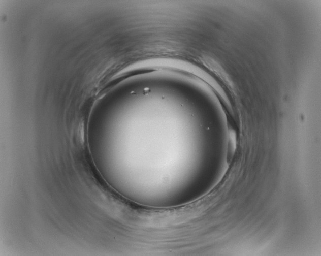 X0000062140021200512091226