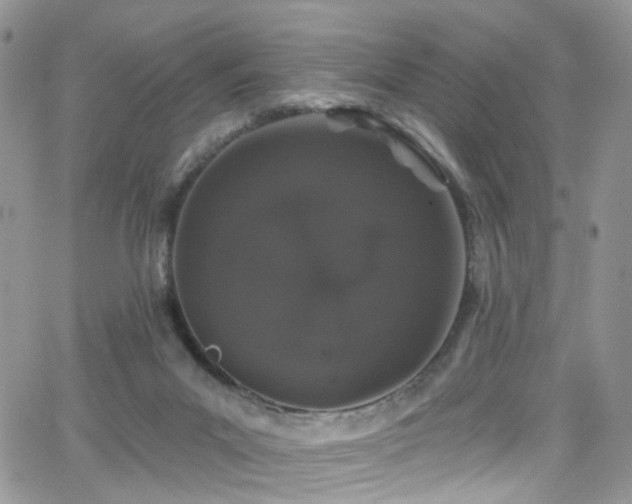 X0000062140023200512091226