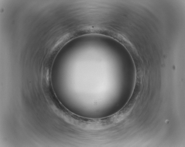 X0000062140024200512091226