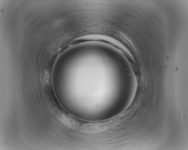 X0000062140025200512091226