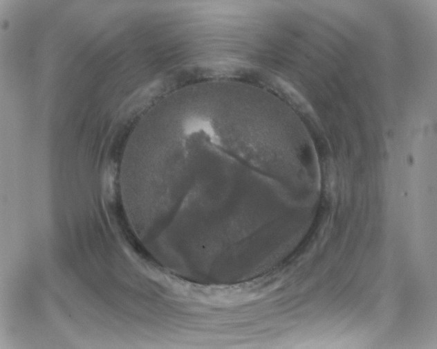 X0000062140026200512091226