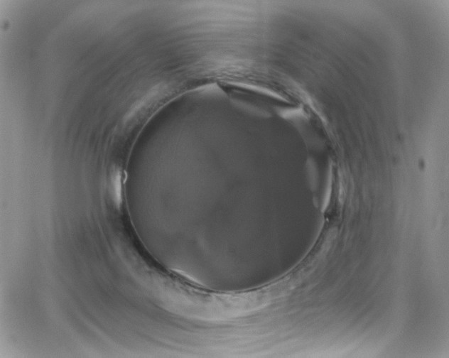 X0000062140027200512091226