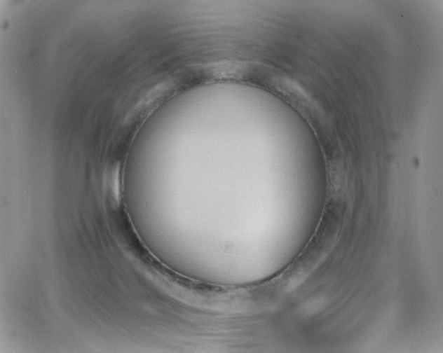 X0000062140028200512091226