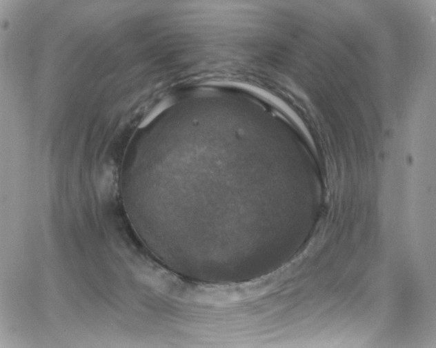 X0000062140029200512091226