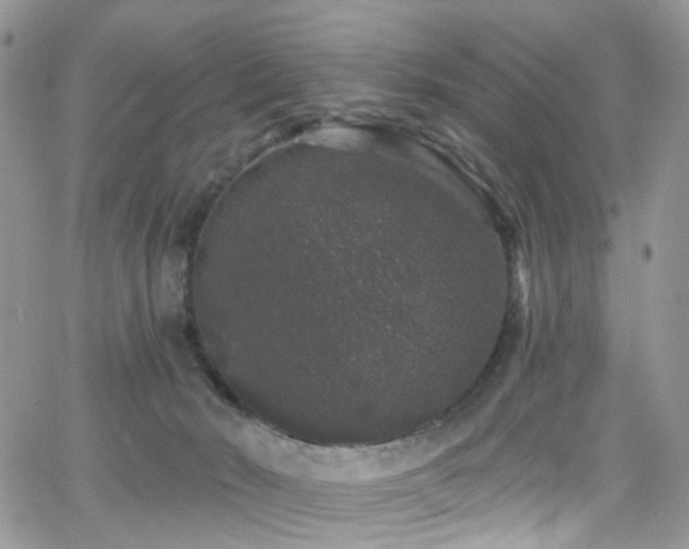 X0000062140030200512091226