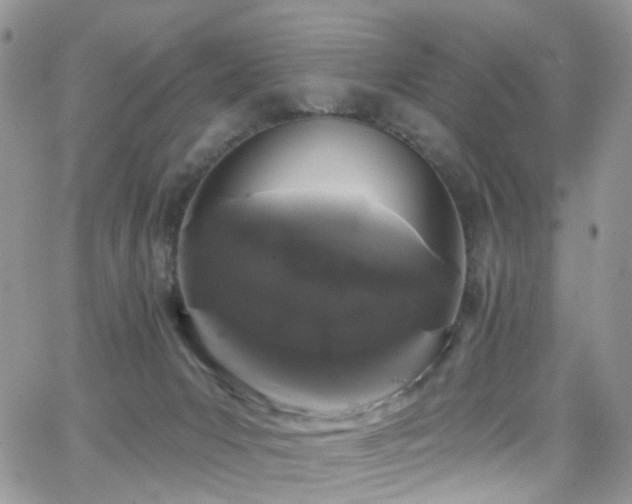 X0000062140031200512091226