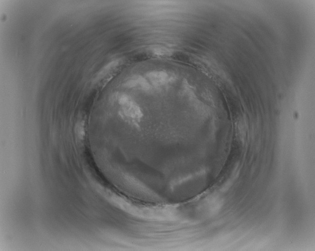 X0000062140032200512091226